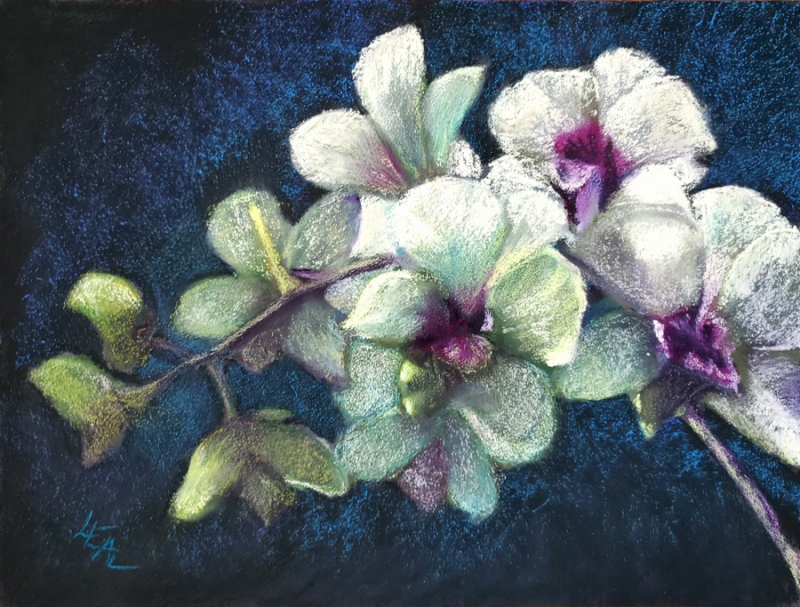 Orchids on Pandora by artist Anna Lisa Leal